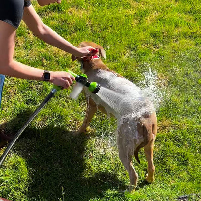 Pet hose system