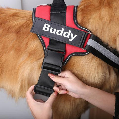 Personalised Reflective No-Pull Dog Harness